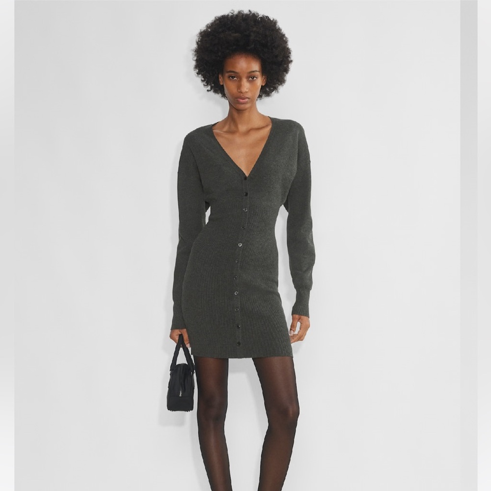 Aritzia Orla Dress